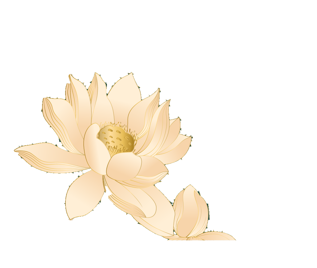 Hoa sen Cửu Long