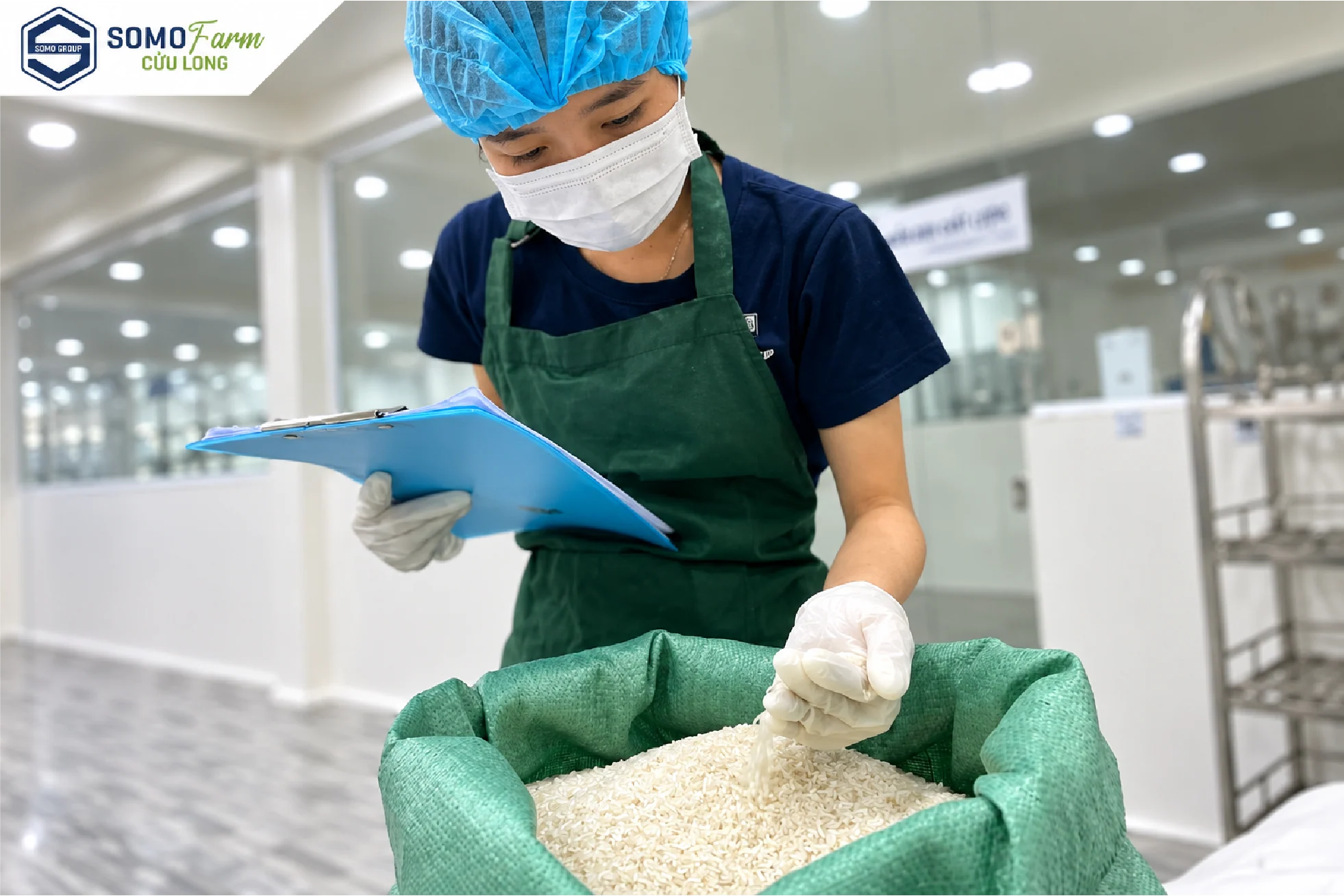 Quy trình ủ truyền thống
